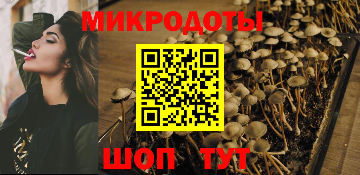 Галлюциногенные грибы Cubensis Мончегорск