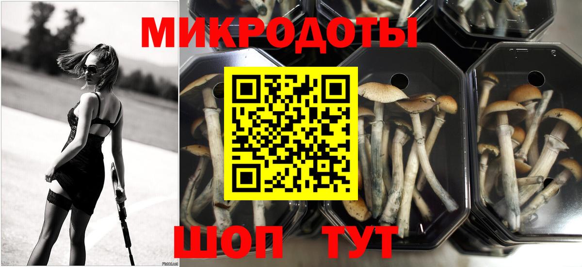 Псилоцибиновые грибы мицелий  Вход с VPN  Мончегорск 