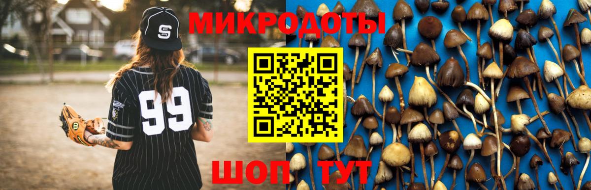 ГАШ Мончегорск